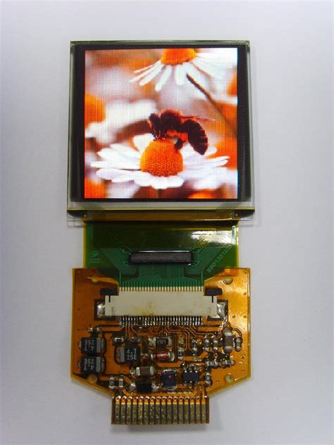 15 Inch Oled Color Display Module Sample