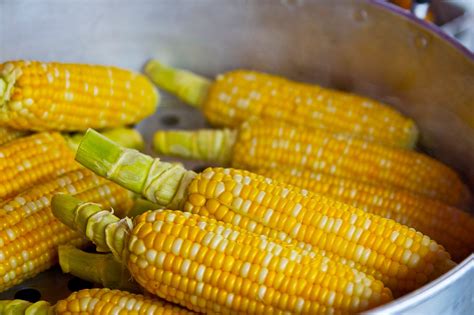 This honey butter skillet corn is so creamy, sweet, delicious, and something everyone loves. Gallery | Yummy Cup Corn