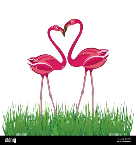 Flamingo Bird Heart Hi Res Stock Photography And Images Alamy