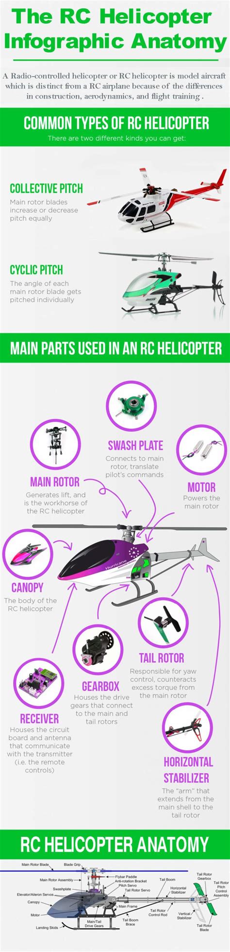 The Rc Helicopter Anatomy Love Infographics