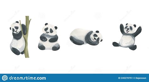 Watercolor Illustration Of A Set Of Panda Bears Cheerful Calm