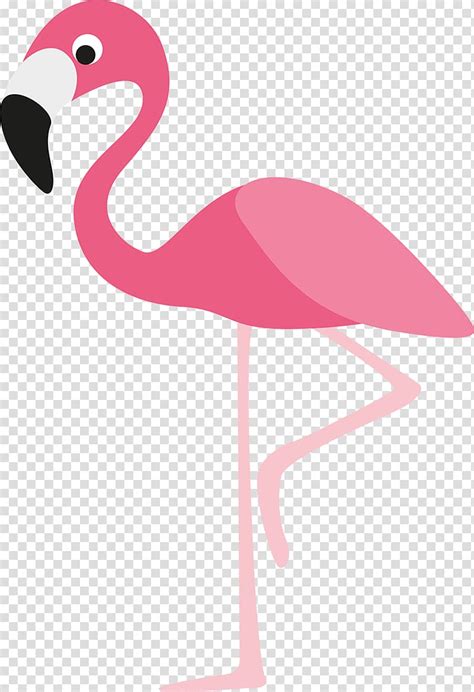 Pink Flamingo Illustration Flamingo Cartoon Flamingo Transparent