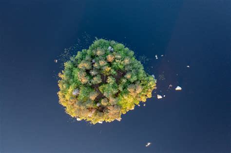Free Images : sky, water, liquid, underwater, tree, marine biology