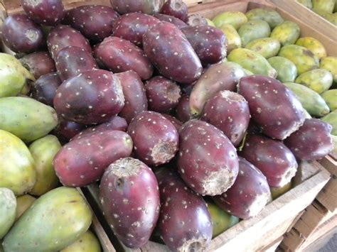 Addicted to Lime: The Amazing, Delicious Tuna Fruit