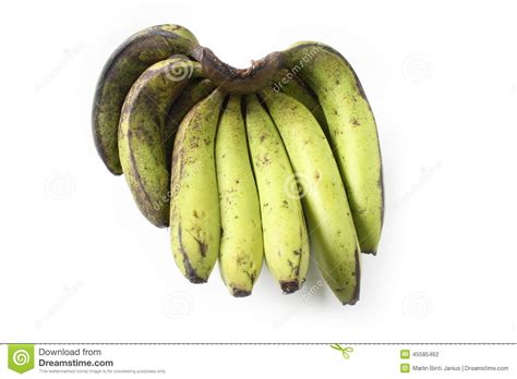 Ripe Green Banana Stock Photo Image Of Snack Freshness 45585462