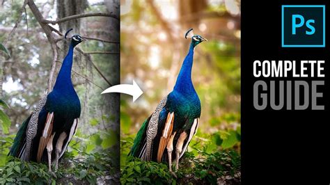 Complete Photoshop Guide Blurring The Background And Adding Bokeh