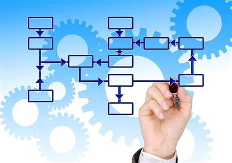 Importancia De La Documentación De Procesos Y Procedimientos En Las