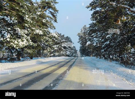 Winter Snowy Road Through The Forest Stock Photo Alamy
