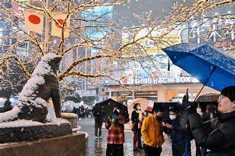 Record Heavy Snow Disrupts Tokyo Transit Including Flights Upi Com
