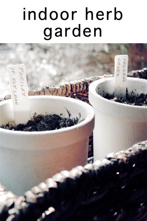 Showing results for window sill herb pots. window sill herb garden ~ the woodland gardener | Window ...