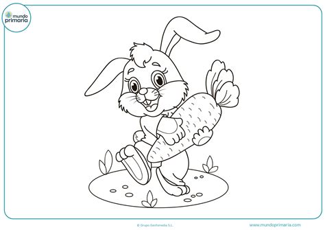 Le darán a su hijo el ambiente de una celebración festiva. Dibujar Animales Herbivoros Para Colorear Conejo - páginas ...