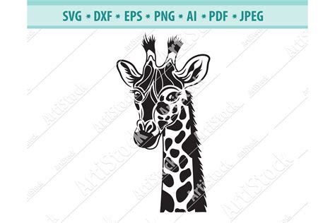 Giraffe Svg Giraffe Head Png Safari Animal Png Eps Dxf 1157458