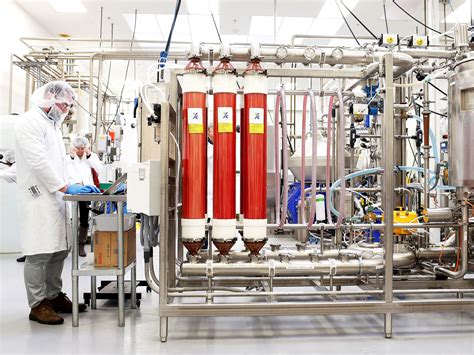 The Government's Role in the Rise of Lab-Grown Meat | WIRED