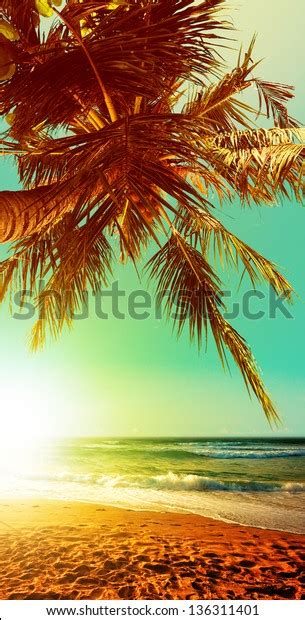 Tropical Beach Sunset Time Vertical Panoramic Stock Photo Edit Now
