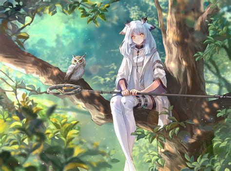 Download 3840x2160 Ptilopsis Arknights Tree Owl Staff Anime