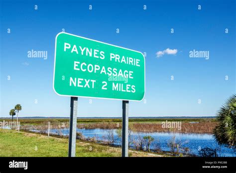 Gainesville Floridamicanopypaynes Prairie Ecopassage Nature State