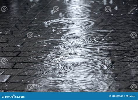 Flooded Street Sidewalk With Rippled Rain Puddles Stock Image Image