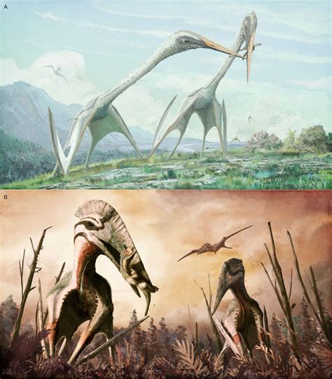 Figure 9 Diversity In Predicted Life Appearance And Ecologies For Giant Azhdarchid Pterosaurs