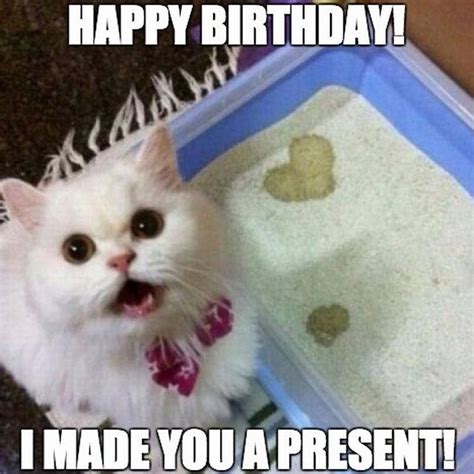 101 Funny Cat Birthday Memes Happy Birthday I Made You A Present