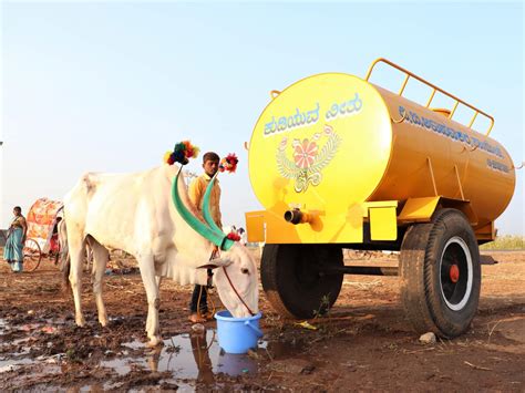 Meet Animals Who Were Helped During The Chinchali Fair Animal Rahat