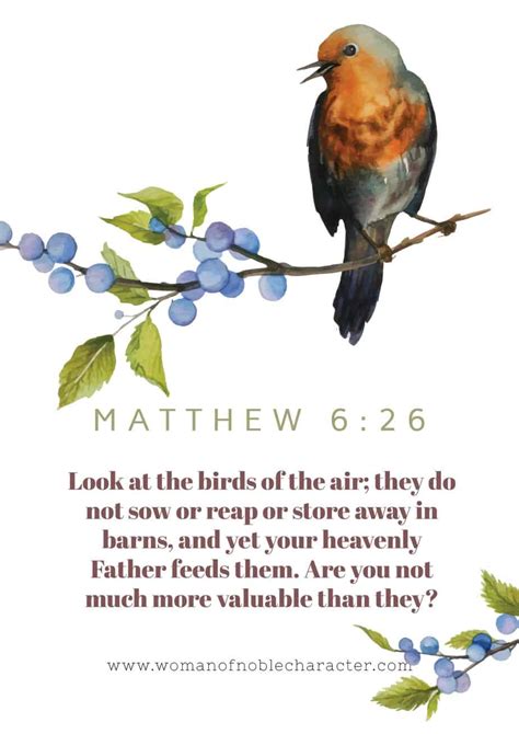 Birds In The Bible A Look At Doves And Sparrows In Scripture