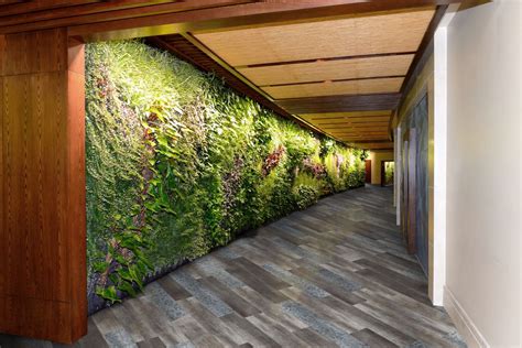 A Hallway With Plants On The Wall