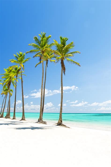 The Ultimate Guide To Punta Cana Dominican Republic In 2023 Punta