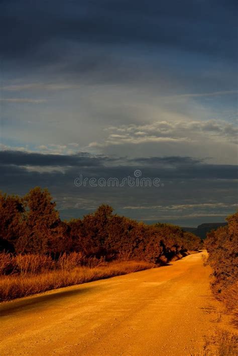 Dirt Road Dawn Sky Stock Photo Image Of Trail Bush 41277610