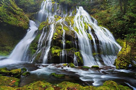 Nature Waterfall Water River Forest Wallpapers Hd