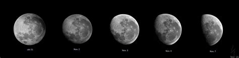My November Moon Collage Rtelescopes