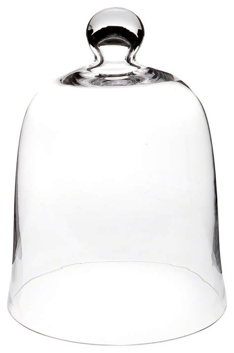 Free 2 Day Shipping Buy Plymor Brand Bell Jar Glass Display Dome