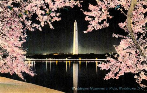 Vintage Washington Dc Postcard The Washington Monument At Night
