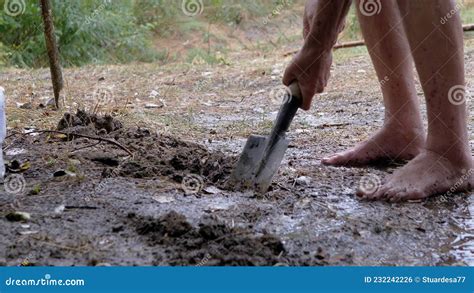 Human Digs A Storm Drain A Trench A Drainage In Wet Earth With Using