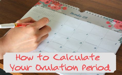 Counting And Determining The Fertile Period Tips Health