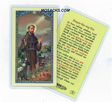 The path of the white rose. St. Francis "Prayer For My Pet" Holy Card, E24-314 Laminated