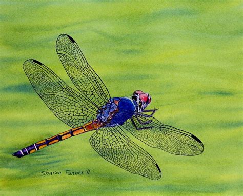 Dragonfly On Green Painting By Sharon Farber Fine Art America