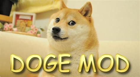 Doge Mod Perfect For Shibes Around The World Minecraft
