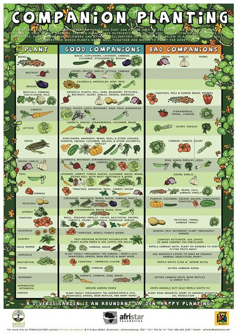 Collection Of Companion Planting Charts Guides And Pdfs World Water