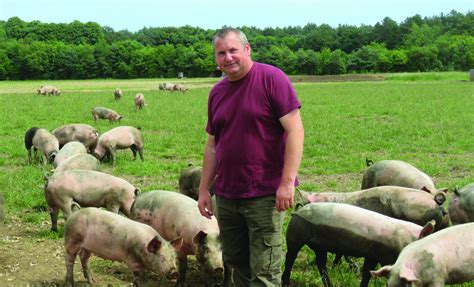 North Farm Livestock: Setting the standard | Pig World