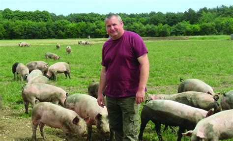 Livestock is right behind this brilliant initiative to make sure no child living in poverty in #brighton and #hove is left out this christmas. North Farm Livestock: Setting the standard | Pig World