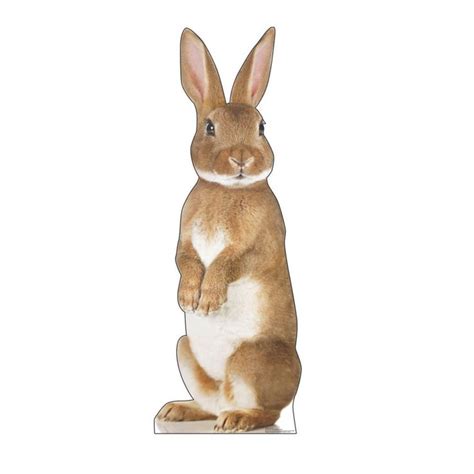 Bunny Rabbit Cardboard Stand Up Oriental Trading In 2021 Bunny