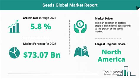 Global Seeds Market Overview And Prospects Includes Seeds Market Size