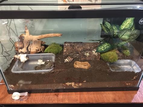 New To Hermit Crabs I Set Up This Tank Best I Could Using The Document