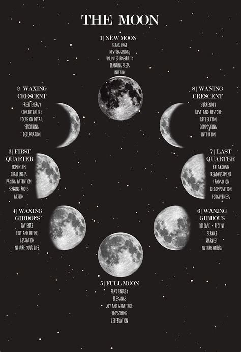 “new Moon Phases Poster Wall Art💕 ☾a Guide To The Lunar Cycle What