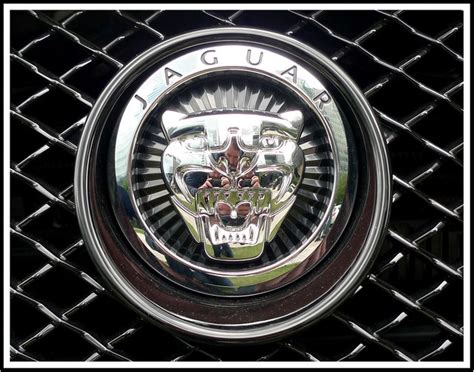 Jaguar Emblem | Flickr - Photo Sharing!