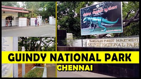 Guindy National Park Childrens Park Chennai Youtube