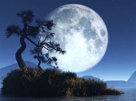 Check spelling or type a new query. Cool Moon Backgrounds - Wallpaper Cave