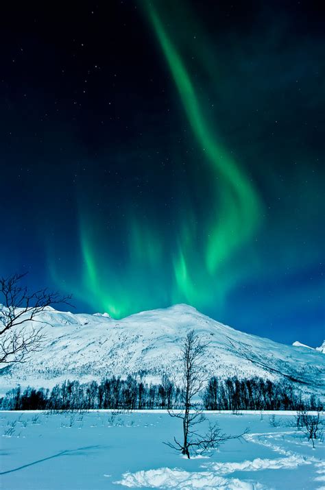 Aurora Borealis Northern Lights In Tromsø Norway Andi Gentsch Flickr