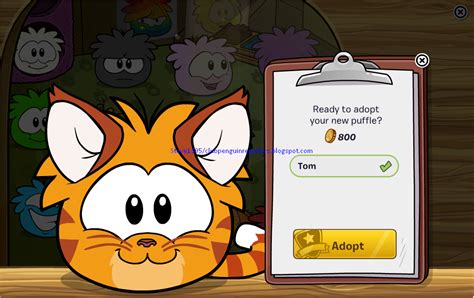 Here's their locations all you have to do to collect the crystals is click on them. Adopt The Blue Border Collie And Orange Tabby Cat! | Club ...