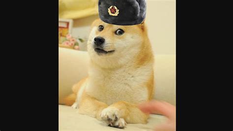 Doge With Russian Hat Blank Template Imgflip